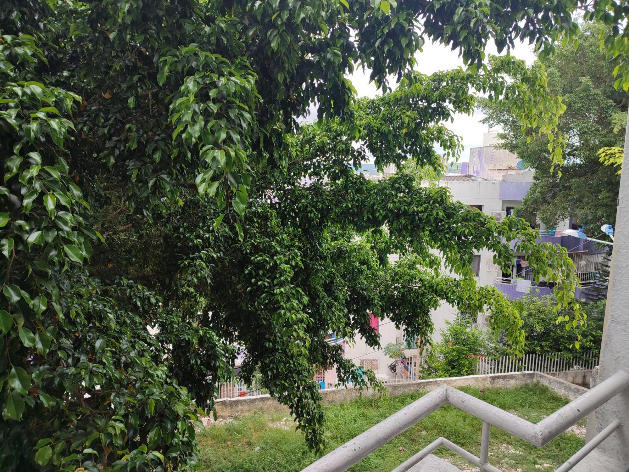 Mirador De Zaragocilla